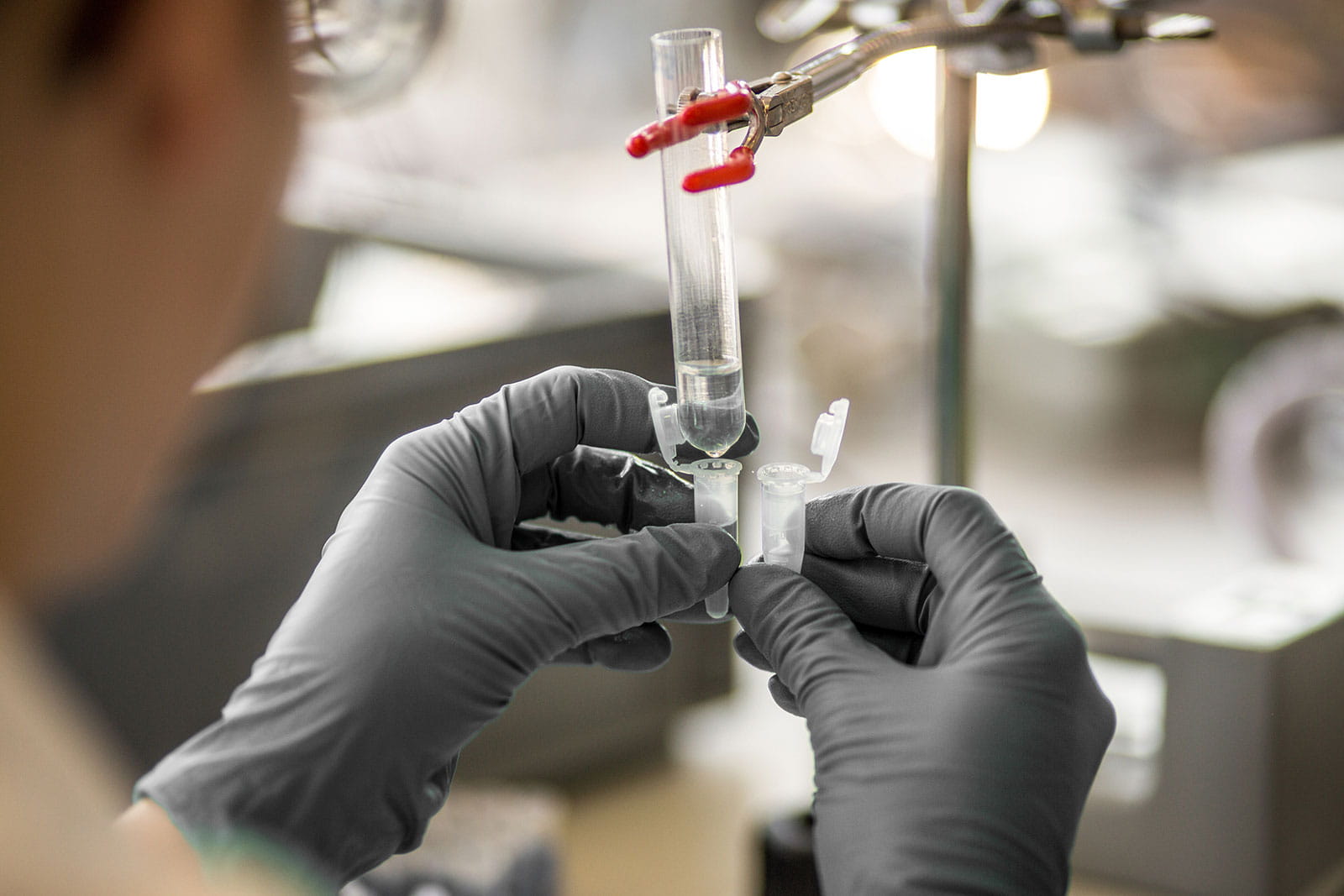 Person von hinten mit grauen Handschuhen hält eine Pipette.