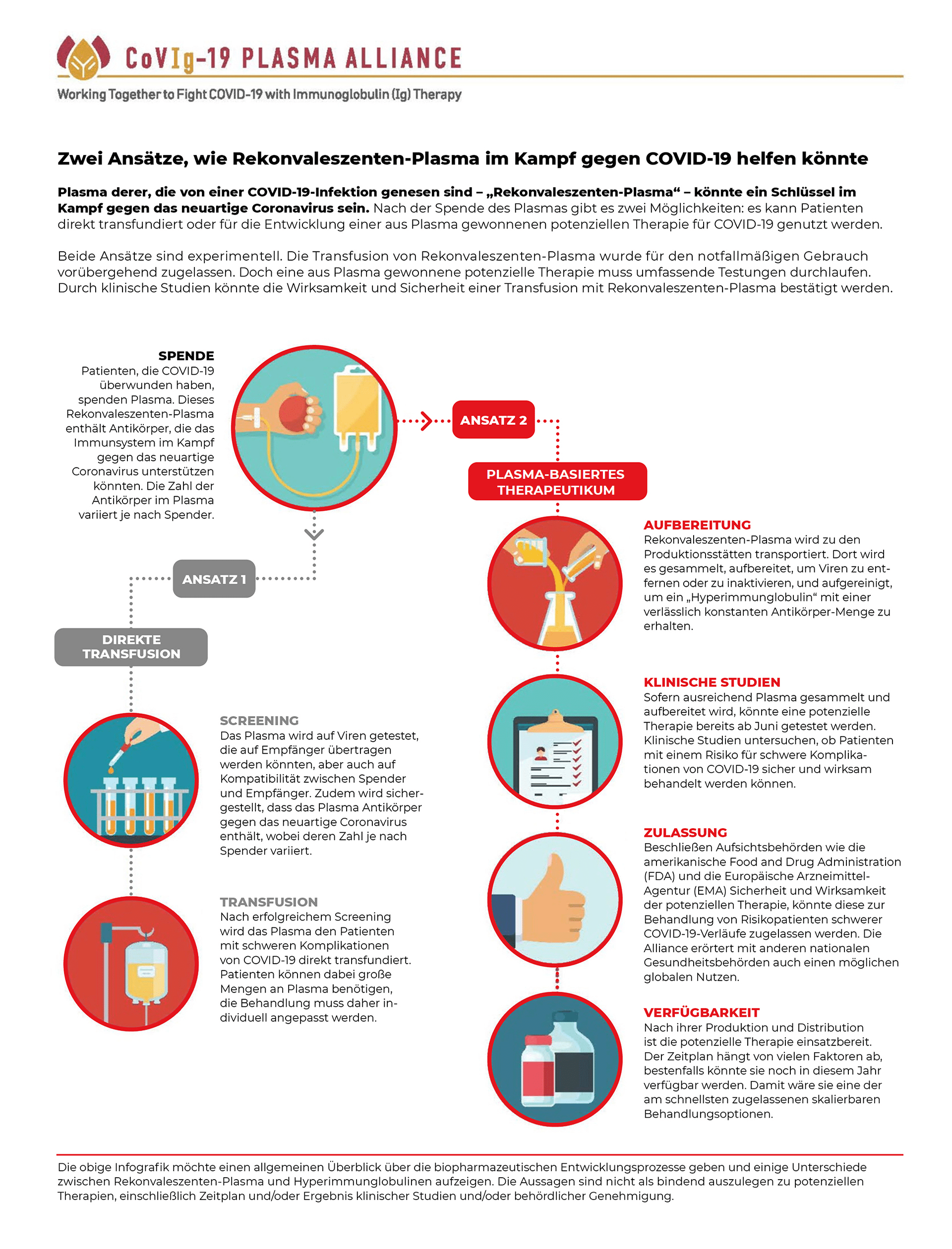 Plasma Alliance Infografik final PA