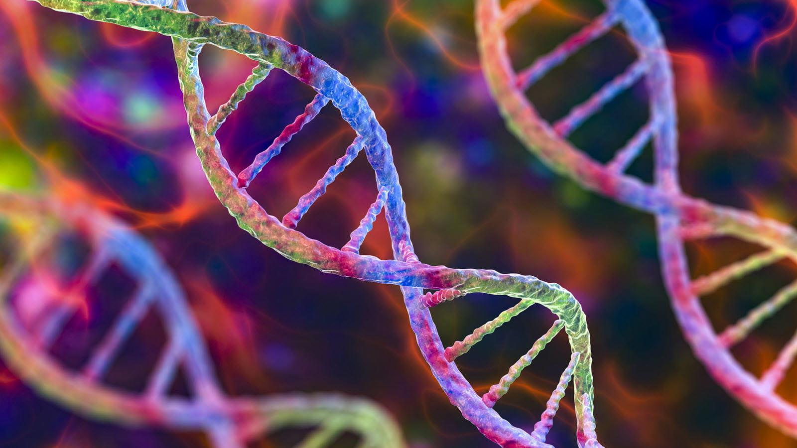 DNA