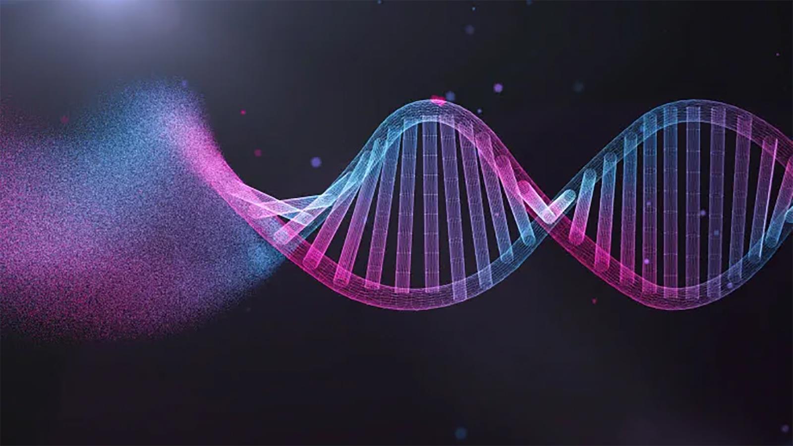 DNA