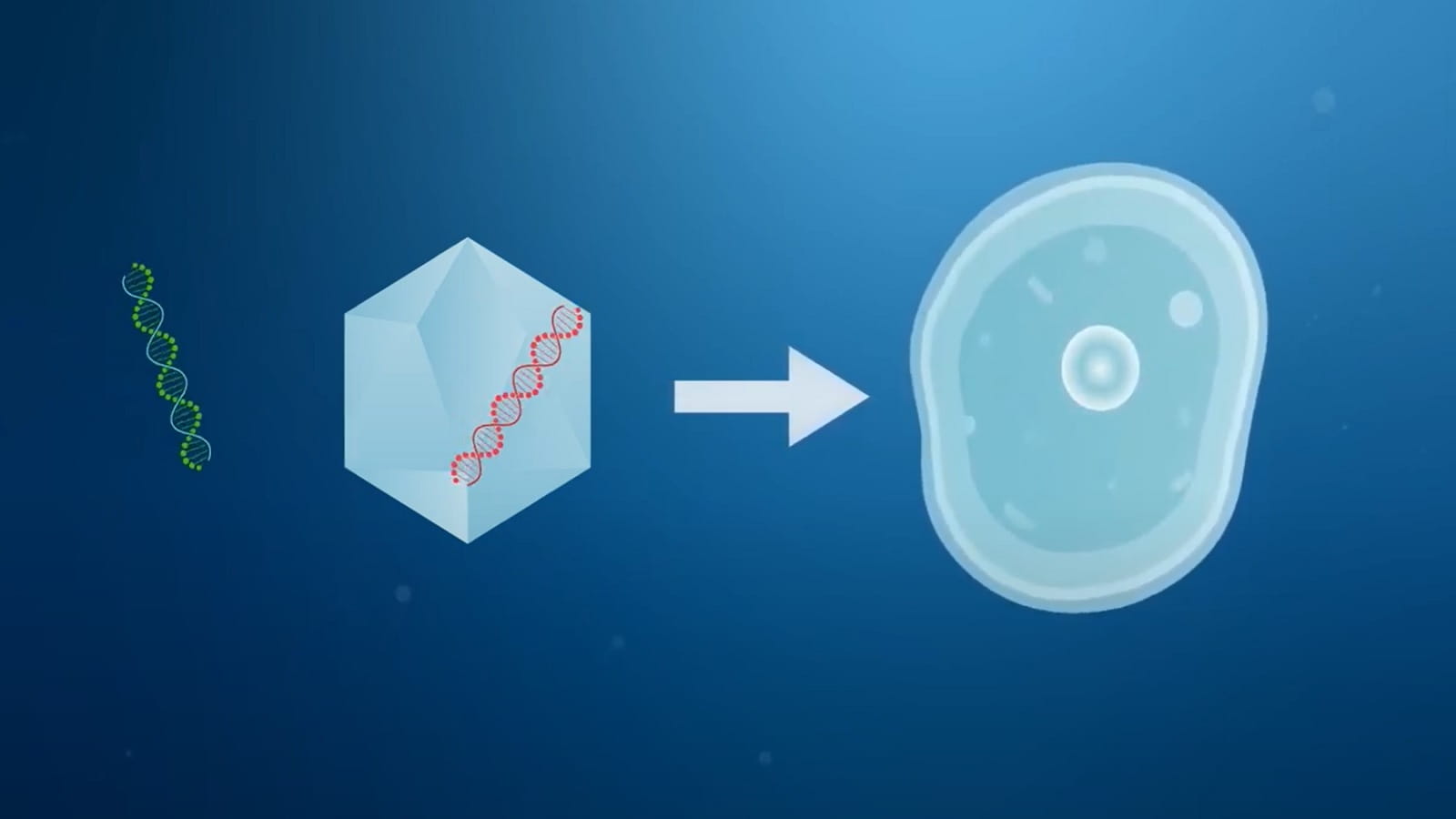 Gentherapie - Was sind Vektoren?