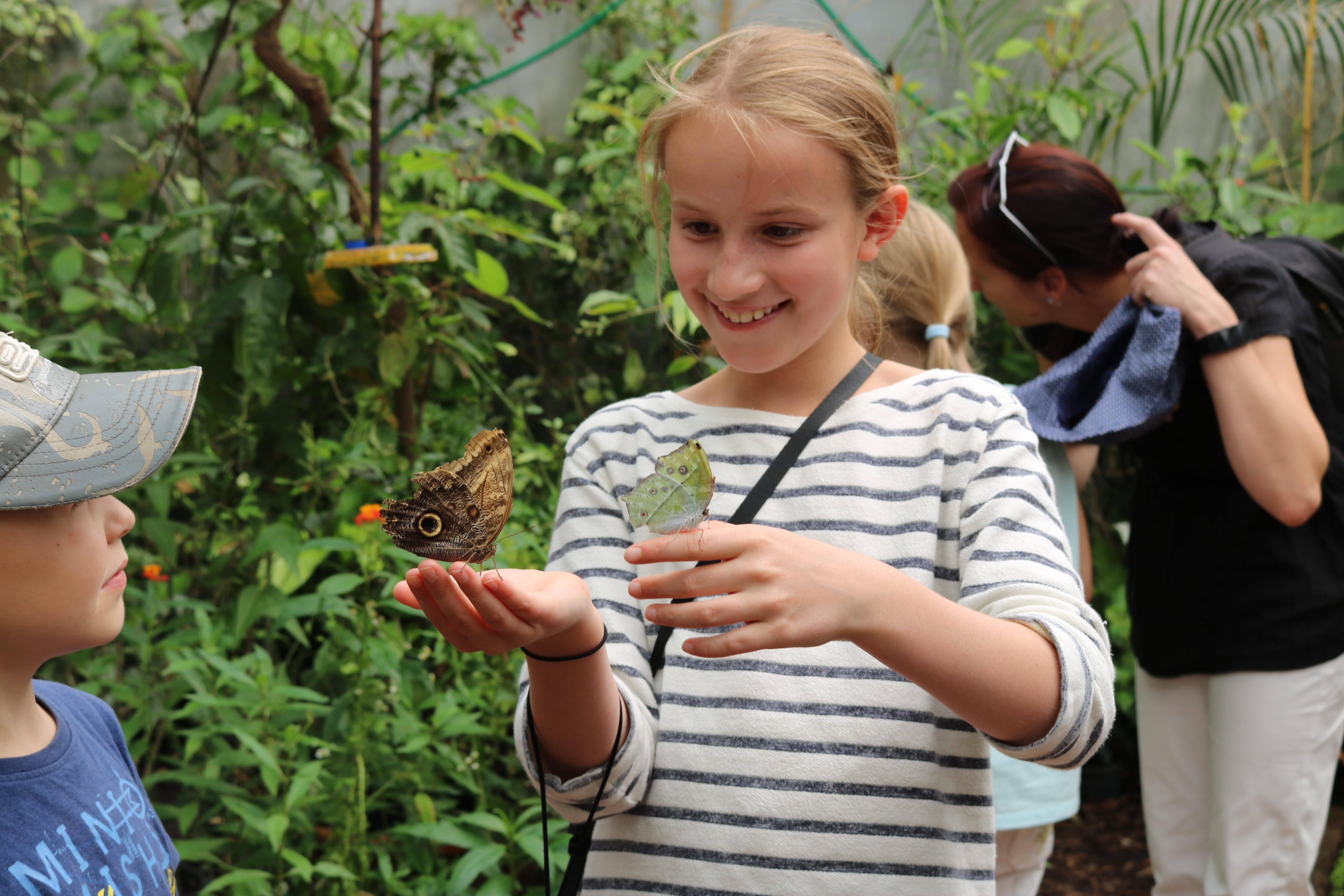 Mädchen mit Schmetterlingen auf der Hand