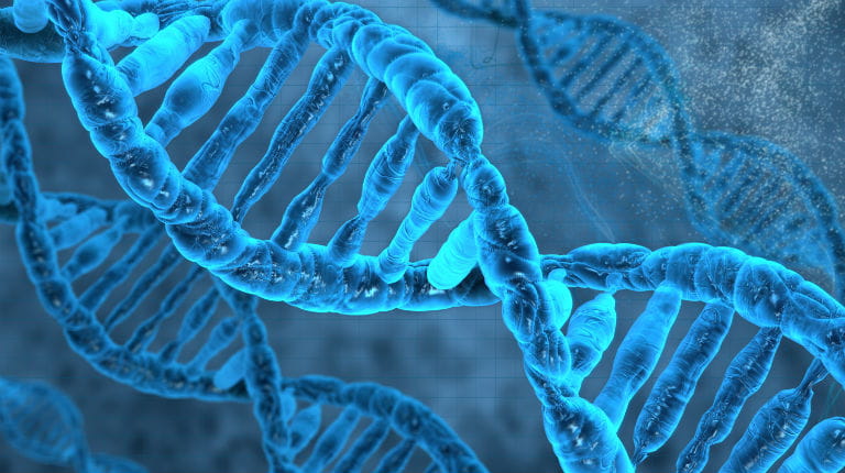 DNA