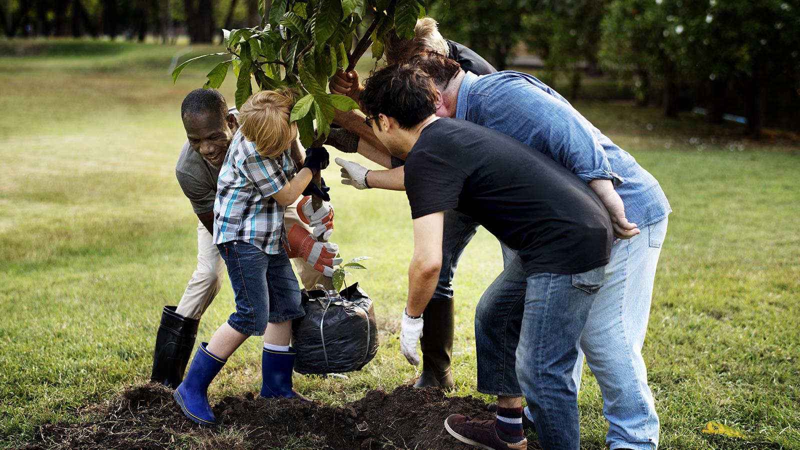 Gruppe pflanzt einen Baum