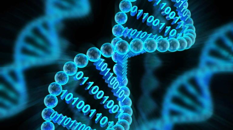 DNA